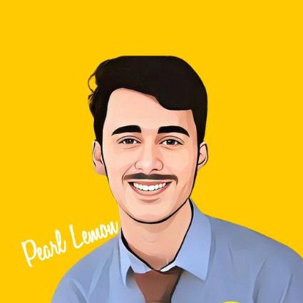 Muhammad Amir Sub Head of Content Publishing Department At Pearllemon