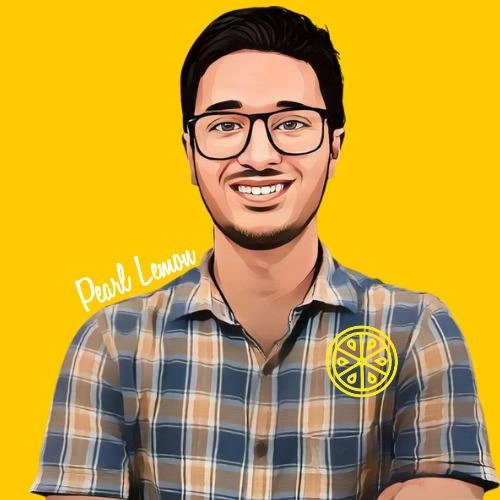 Vivek Kumar automation intern